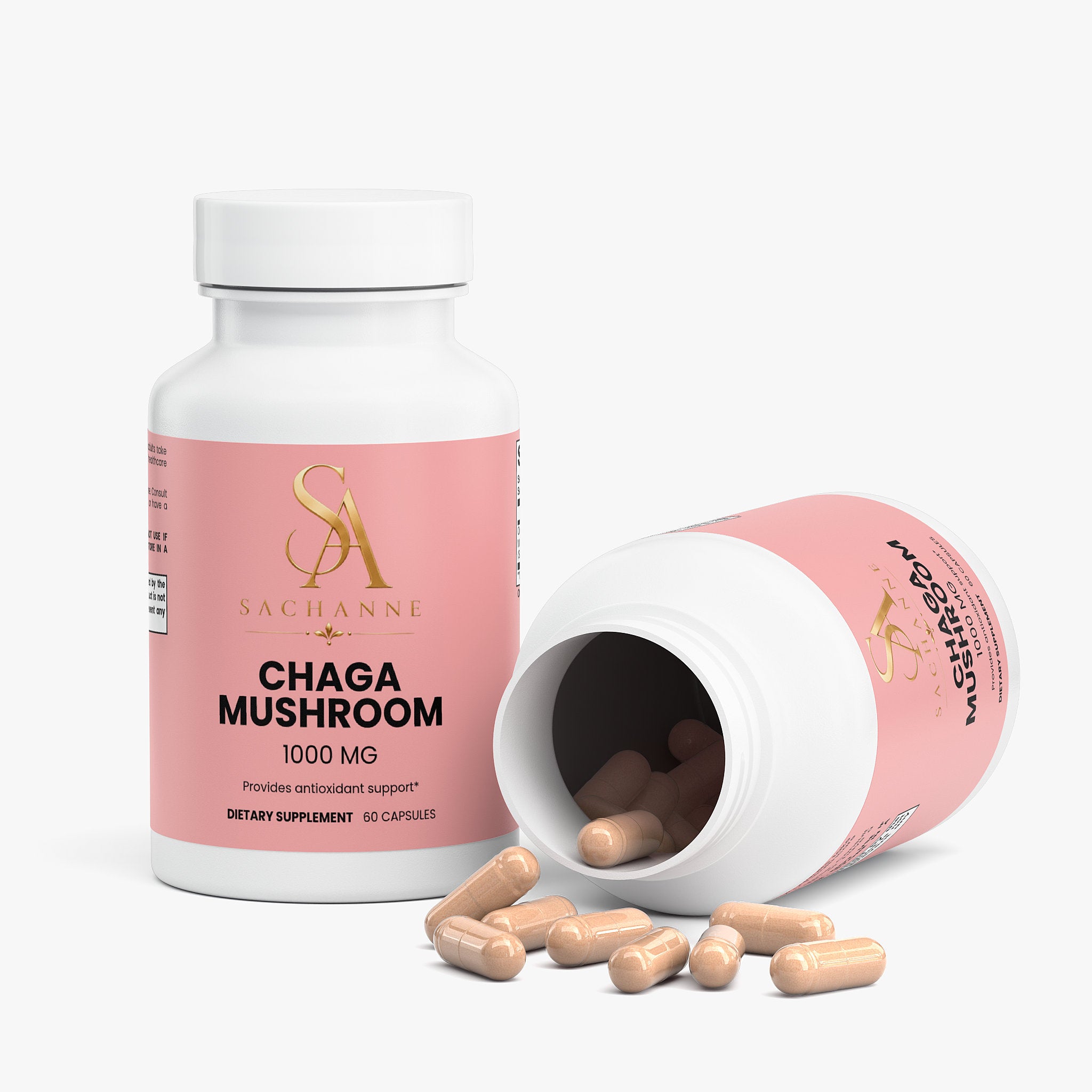 Chaga Mushroom